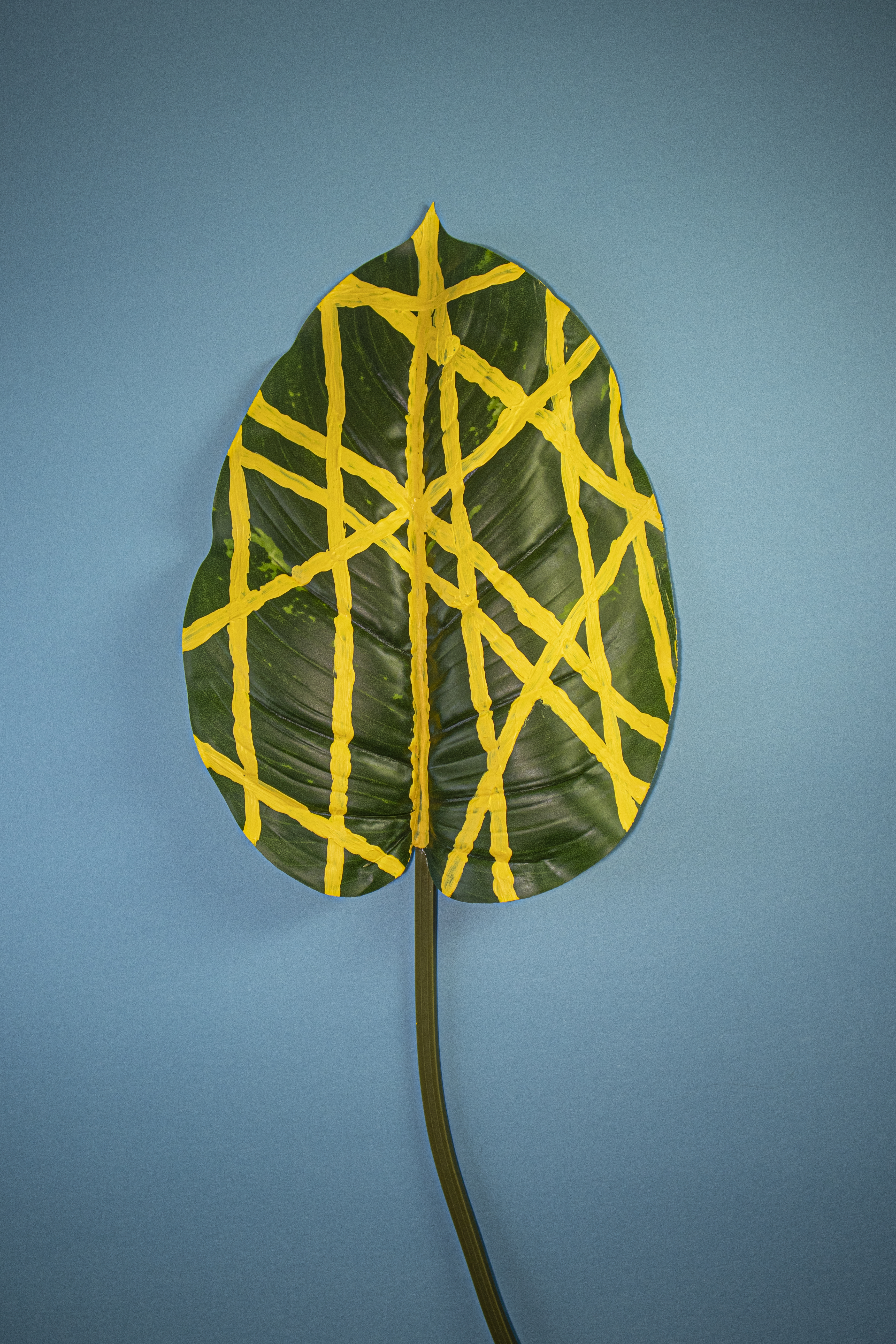 green leaf with yellow lines of paint on leaf with blue background